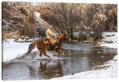 USA, Wyoming Hideout Horse Ranch, Wrangler Crossing The Stream On Horseback Canvas Art Print