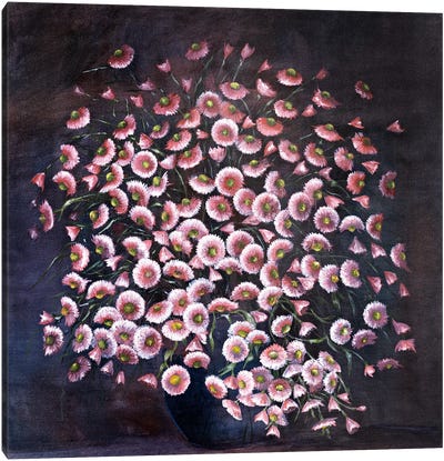 Pink Daisies Canvas Art Print - Helena Lose
