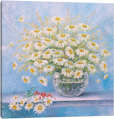 Daisies In A Vase Canvas Art Print - Helena Lose