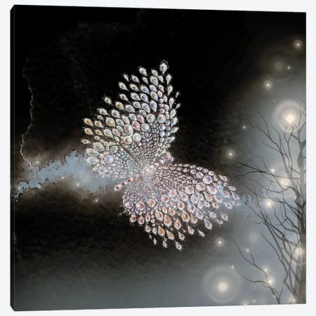 Night Butterfly Magic Canvas Print #HLS71} by Helena Lose Canvas Wall Art