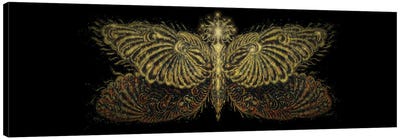 Insect Butterfly In Surrealism Canvas Art Print - Helena Lose