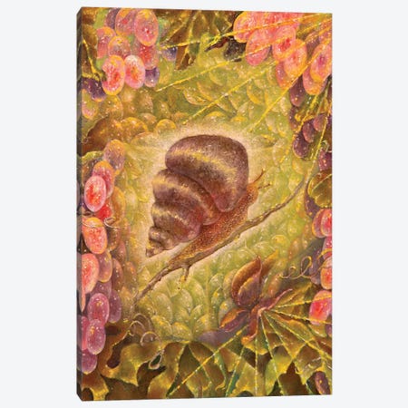 Grape Snail Canvas Print #HLS8} by Helena Lose Canvas Wall Art