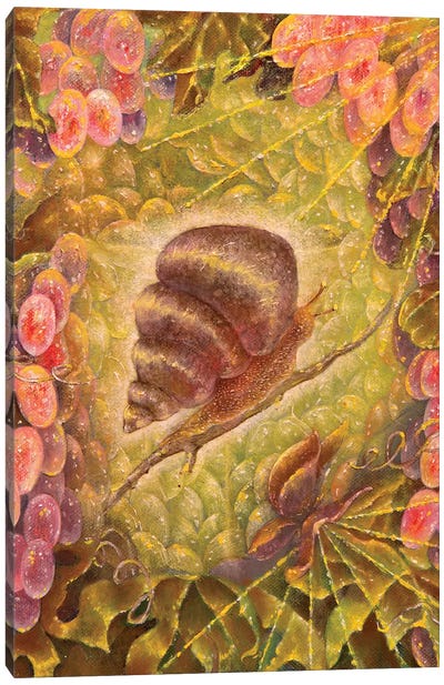 Grape Snail Canvas Art Print - Snail Art