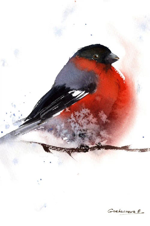 Bullfinch Bird by HomelikeArt wall art