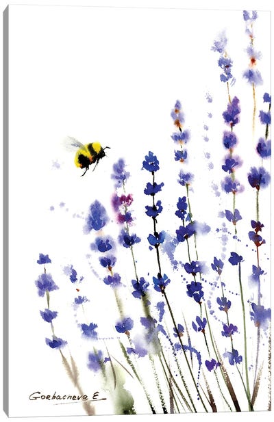 Lavender And Bee Canvas Art Print - Lavender Art