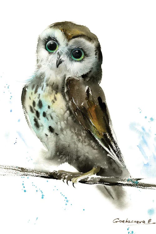 Owl II