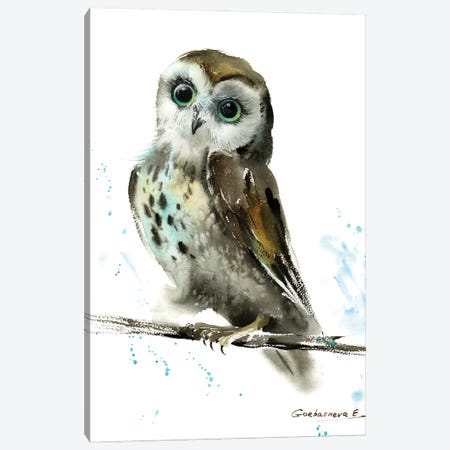 Owl II Canvas Print #HLT21} by HomelikeArt Canvas Wall Art