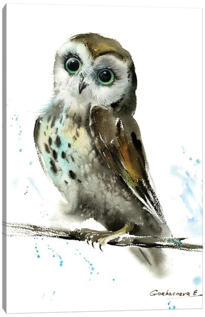 Owl II Canvas Art Print - HomelikeArt