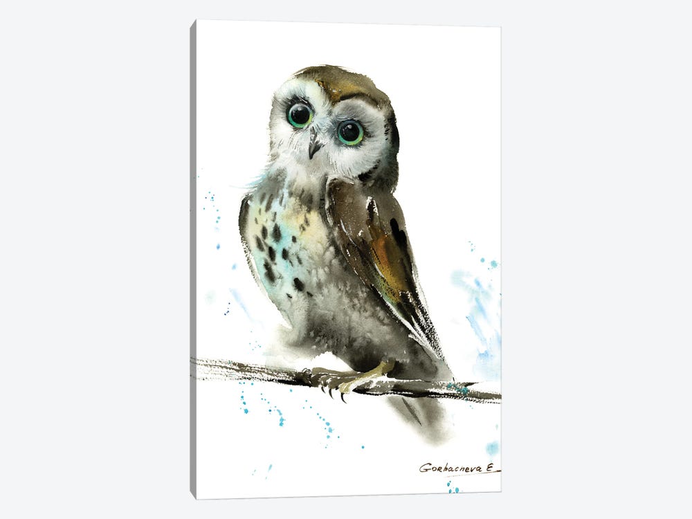 Owl II by HomelikeArt 1-piece Canvas Artwork