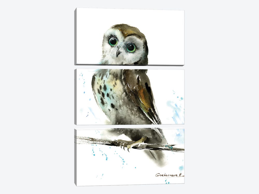 Owl II by HomelikeArt 3-piece Canvas Wall Art