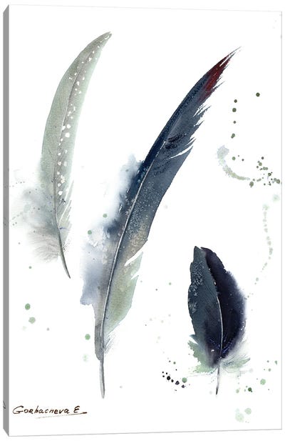 Gray Crowned Crane Feathers Canvas Art Print - Feather Art