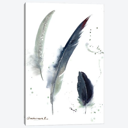 Gray Crowned Crane Feathers Canvas Print #HLT22} by HomelikeArt Canvas Art
