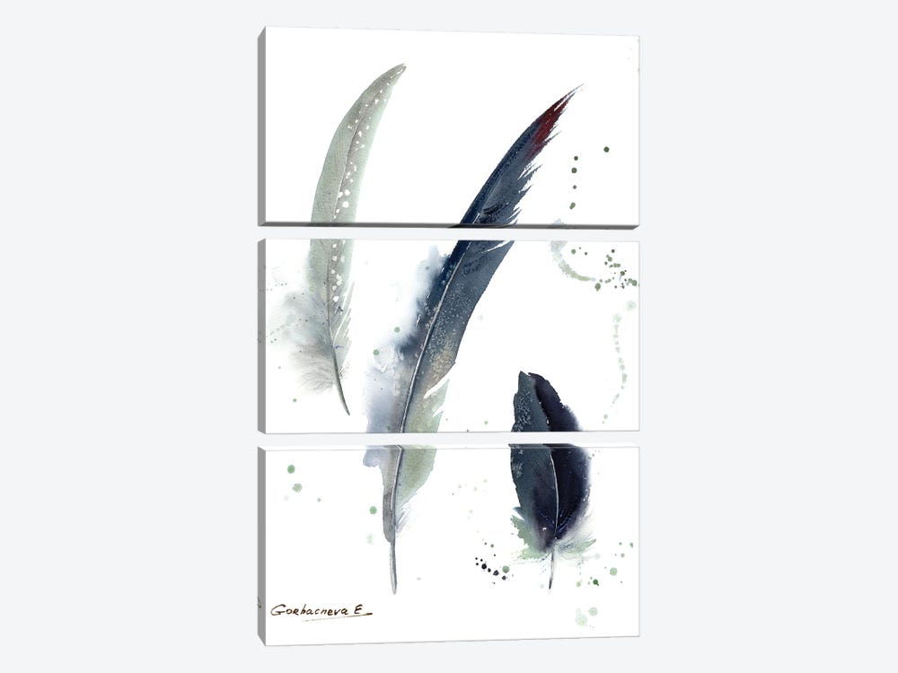 Gray Crowned Crane Feathers by HomelikeArt 3-piece Art Print