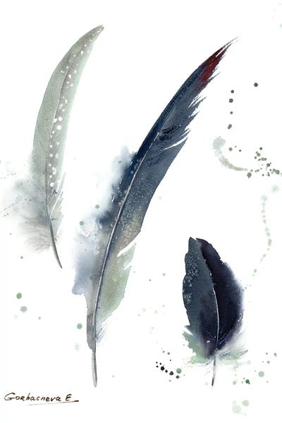 Natural Elements: Gray Crowned Crane Feathers by HomelikeArt