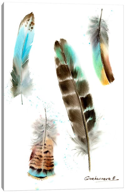 Four Fethers Canvas Art Print - Feather Art