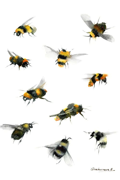 Bees