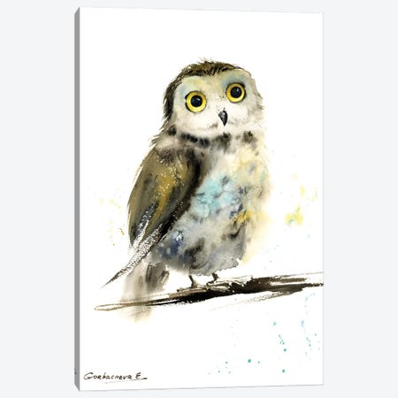 Little Owl On A Branch Canvas Print #HLT39} by HomelikeArt Art Print