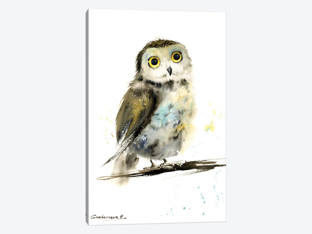 Little Owl On A Branch by HomelikeArt 1-piece Art Print