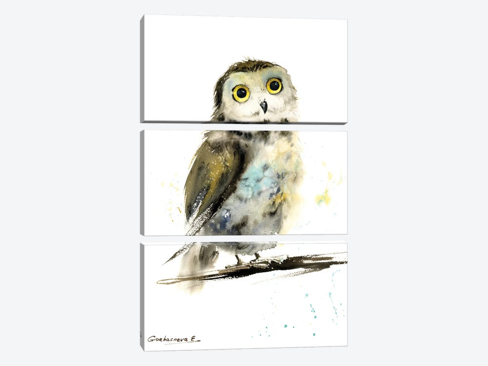 Little Owl On A Branch by HomelikeArt 3-piece Canvas Print