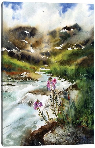 Mountain Creek Canvas Art Print - HomelikeArt
