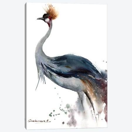 Gray Crowned Crane Canvas Print #HLT5} by HomelikeArt Canvas Art