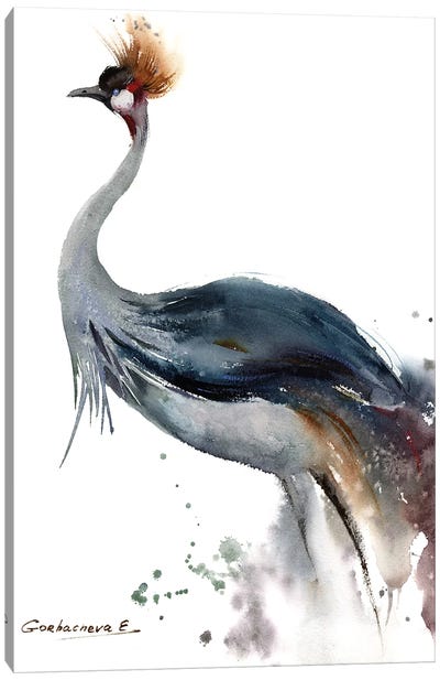 Gray Crowned Crane Canvas Art Print - HomelikeArt