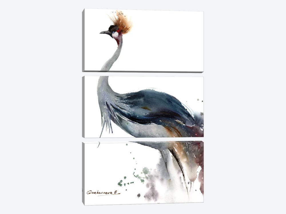 Gray Crowned Crane by HomelikeArt 3-piece Art Print