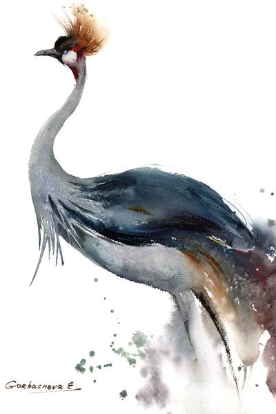 Birds: Gray Crowned Crane by HomelikeArt