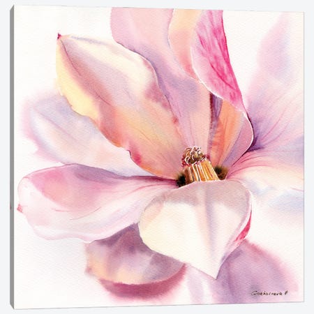 Magnolia Flower Canvas Print #HLT69} by HomelikeArt Canvas Wall Art