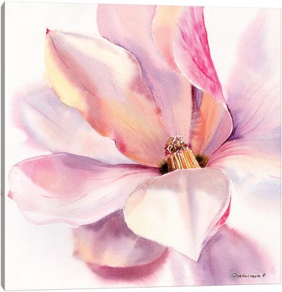 Magnolia Flower Canvas Art Print - HomelikeArt