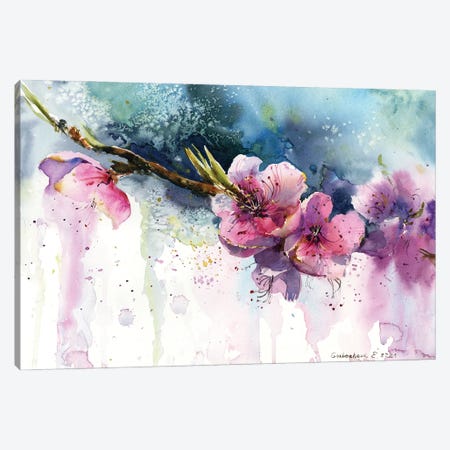 Blooming Peach Flower Canvas Print #HLT74} by HomelikeArt Canvas Art