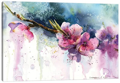 Blooming Peach Flower Canvas Art Print - HomelikeArt
