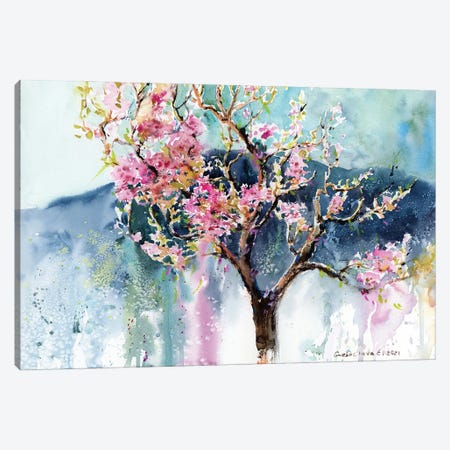 Blossoming Peach Tree Canvas Print #HLT75} by HomelikeArt Canvas Artwork