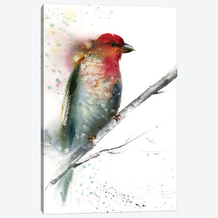 Red Grey Bird Canvas Print #HLT87} by HomelikeArt Canvas Print