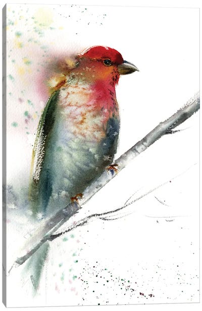 Red Grey Bird Canvas Art Print - HomelikeArt
