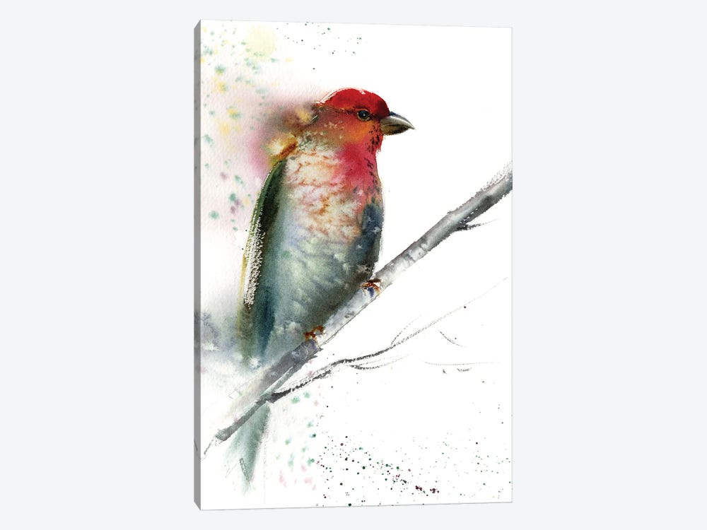 Red Grey Bird by HomelikeArt 1-piece Canvas Art