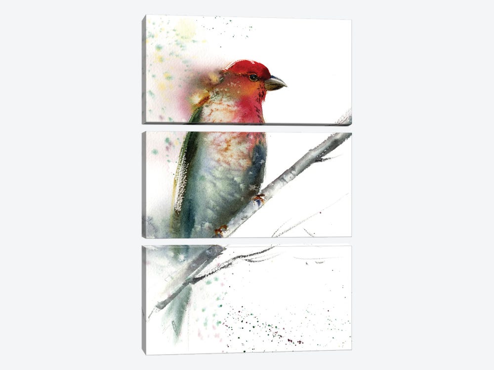 Red Grey Bird by HomelikeArt 3-piece Canvas Artwork