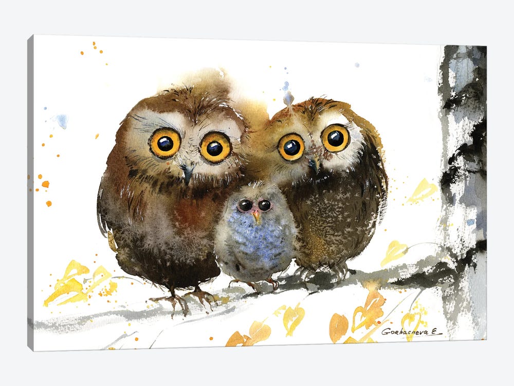 Famely Owls by HomelikeArt 1-piece Canvas Wall Art