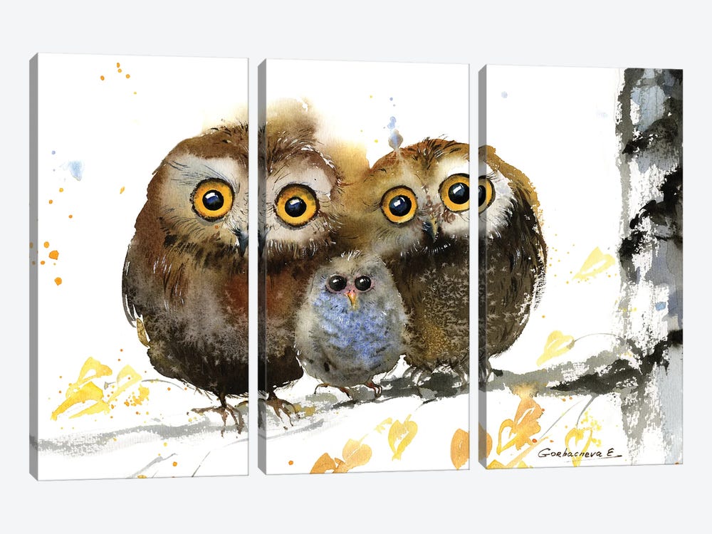 Famely Owls by HomelikeArt 3-piece Canvas Artwork