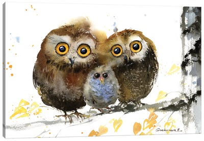 Famely Owls Canvas Art Print - Owl Art