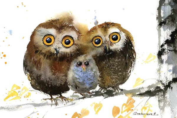 Animal Lover: Famely Owls by HomelikeArt