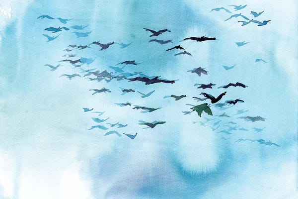 Heart Of Lily: Momentum by Heart Of Lily