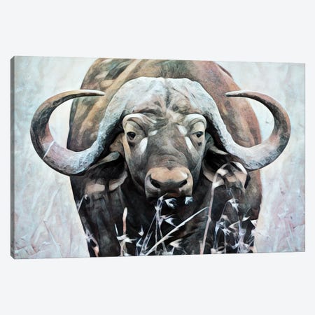 Water Buffalo Watch Canvas Print #HLY12} by Ashley Aldridge Canvas Wall Art