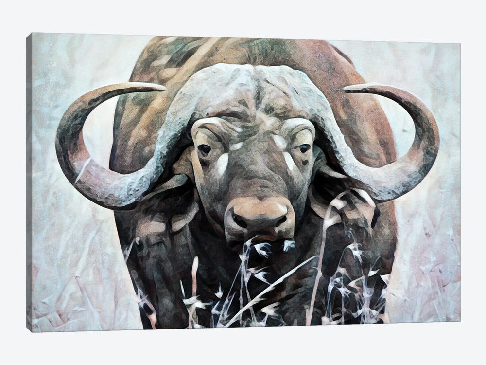Water Buffalo Watch by Ashley Aldridge 1-piece Canvas Print