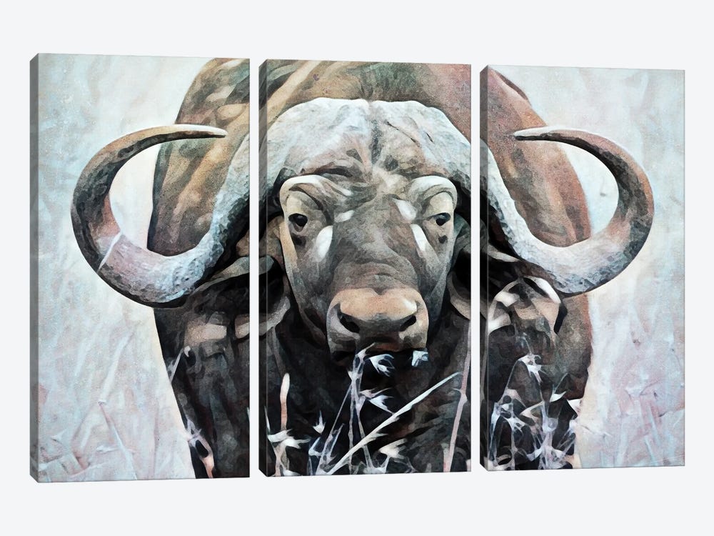 Water Buffalo Watch by Ashley Aldridge 3-piece Art Print