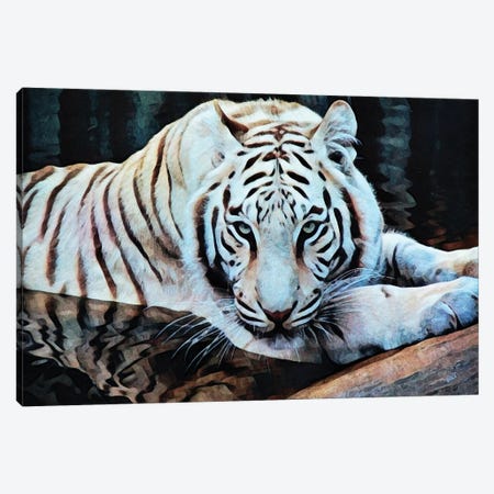 White Tiger Water Wallow Canvas Print #HLY14} by Ashley Aldridge Art Print