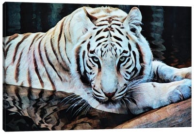 White Tiger Water Wallow Canvas Art Print