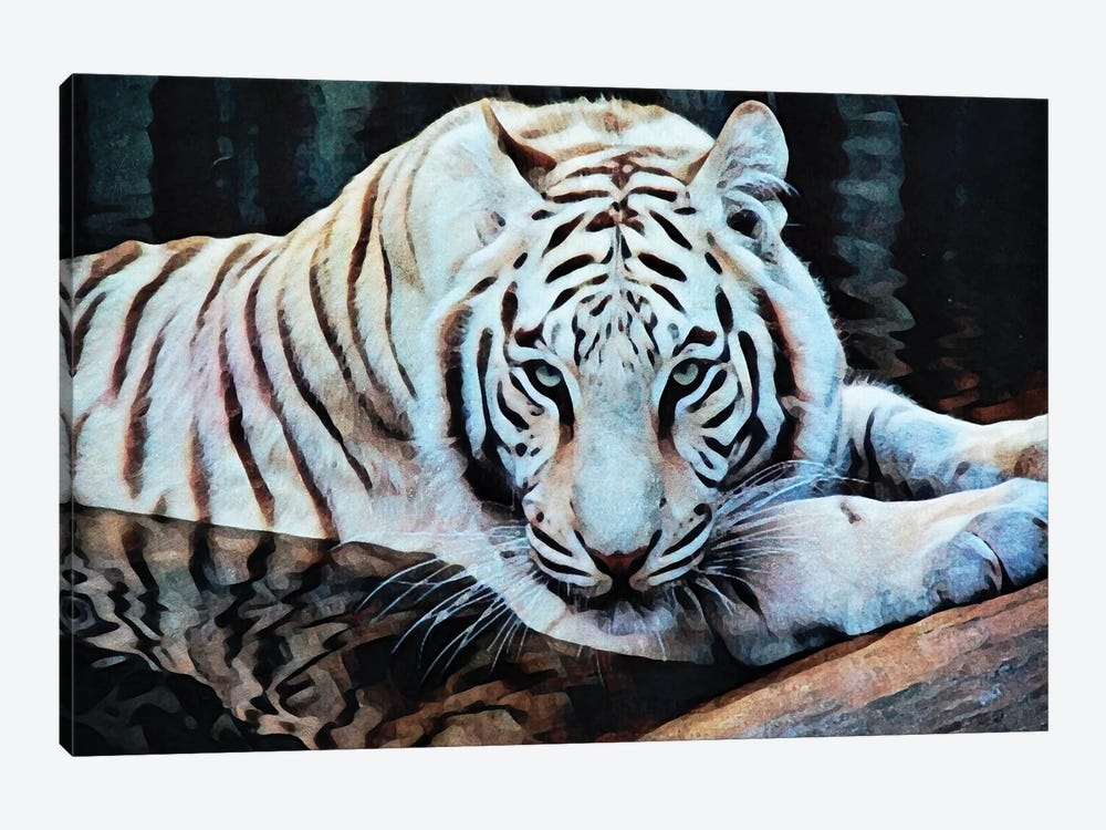White Tiger Water Wallow by Ashley Aldridge 1-piece Canvas Art Print
