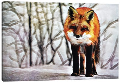 Red Fox Fascination Canvas Art Print