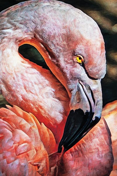 Flamingos: Flamingo Flirtation by Ashley Aldridge